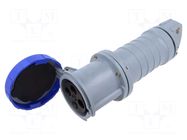 Connector: AC supply 3-phase; plug; female; 63A; 250VAC; 250V; IP&S AMPHENOL