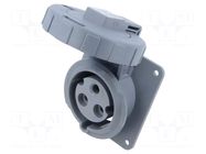 Connector: AC supply 3-phase; socket; IP&S; female; PIN: 3; angled AMPHENOL