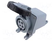 Connector: AC supply 3-phase; socket; female; PIN: 4; 30A; IP&S AMPHENOL
