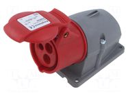 Connector: AC supply 3-phase; socket; female; PIN: 3; 415V; IP&S AMPHENOL