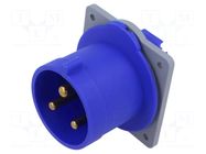 Connector: AC supply 3-phase; socket; male; IP&S; 32A; 250V; PIN: 3 AMPHENOL