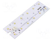 LED strip; W: 45mm; L: 146mm; No.of diodes: 12; CRImin: 70; 3000K PHILIPS