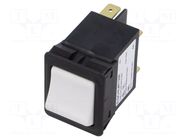 Circuit breaker; Urated: 240VAC; 60VDC; 4A; DPST; Poles: 2; SNAP-IN SCHURTER