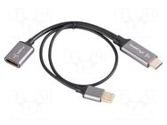 Adapter; DisplayPort socket,HDMI plug,USB A plug; 0.2m; black LANBERG
