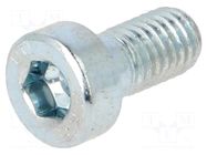 Screw; M5x10; 0.8; Head: cheese head; hex key; HEX 4mm; steel; zinc BOSSARD