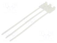 Cable tie; triple loop,with label; L: 185mm; W: 4.8mm; natural ABB