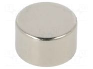 Magnet: permanent; neodymium; 25N; Ø: 10mm; H: 6mm ELESA+GANTER