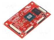 Dev.kit: ARM NXP OLIMEX