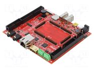 Dev.kit: ARM ST OLIMEX