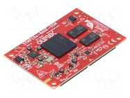 Dev.kit: ARM ST OLIMEX