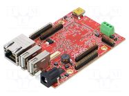Dev.kit: ARM ST OLIMEX