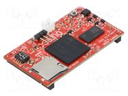Dev.kit: ARM ST OLIMEX