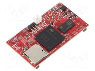 Dev.kit: ARM ST OLIMEX