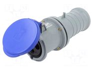 Connector: AC supply 3-phase; plug; female; PIN: 3; 63A; 250V; IP&S AMPHENOL