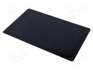 Display: TFT; 10.1"; 1280x800; Illumin: LED; RGB; 850cd/m2; 5VDC Riverdi