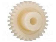Spur gear; whell width: 6mm; Ø: 71.4mm; Number of teeth: 100 IGUS