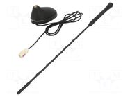 Antenna; car top; 0.4m; AM,FM; Citroën,Peugeot,Toyota; 1.2m; 75Ω ESOL