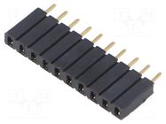 Connector: pin strips; socket; female; PIN: 10; BL 1; 3A; 125V; THT FISCHER ELEKTRONIK