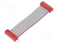 Ribbon cable with connectors; Tape ph: 1.27mm; PIN: 12; 2x6 TE Connectivity