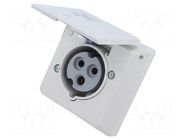 Connector: AC supply 3-phase; socket; female; PIN: 3; 250V; IP&S AMPHENOL
