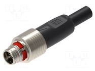 Cable: for sensors/automation; M12; PIN: 8; straight; 3m; plug; 0.5A LUMBERG AUTOMATION