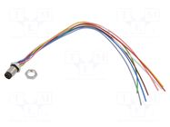 connector 09 3487 86 08 BINDER