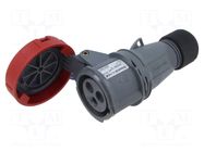 Connector: AC supply 3-phase; plug; female; 16A; 415V; IP&S; IP67 AMPHENOL
