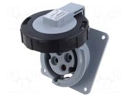 Connector: AC supply 3-phase; socket; IP&S; female; PIN: 4; angled AMPHENOL