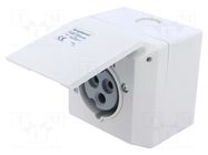 Connector: AC supply 3-phase; socket; female; PIN: 3; 250V; IP&S AMPHENOL