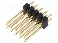 Connector: pin strips; pin header; male; PIN: 10; THT; 3A; 250V; 2x5 FISCHER ELEKTRONIK