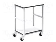 Trolley; ESD; W: 700mm; D: 500mm; steel; light grey; 10kΩ÷100MΩ RT WORK