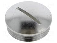 Stopper; PG21; IP54; brass; Plating: nickel; SKINDICHT®; Thread: PG LAPP