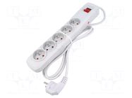 Plug socket strip: protective; Sockets: 5; 250VAC; 10A; grey ARCON