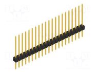 Connector: pin strips; pin header; male; PIN: 21; THT; 3A; 250V; SL 1 FISCHER ELEKTRONIK