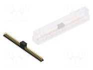 Connector: pin strips; pin header; male; PIN: 64; 3A; 250V; SMT; 2x32 FISCHER ELEKTRONIK