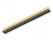 Connector: pin strips; pin header; male; PIN: 60; 3A; 250V; SMT; 2x30 FISCHER ELEKTRONIK