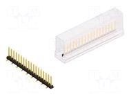 Connector: pin strips; pin header; male; PIN: 18; 3A; 100V; SMT; 2mm FISCHER ELEKTRONIK