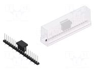 Connector: pin strips; pin header; male; PIN: 19; 3A; 100V; SMT; 2mm FISCHER ELEKTRONIK