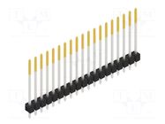 Connector: pin strips; pin header; male; PIN: 19; THT; 3A; 250V; 1x19 FISCHER ELEKTRONIK