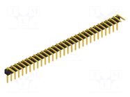 Connector: pin strips; pin header; male; PIN: 30; THT; 3A; 250V; SL 3 FISCHER ELEKTRONIK