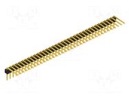 Connector: pin strips; pin header; male; PIN: 36; THT; 3A; 250V; SL 3 FISCHER ELEKTRONIK