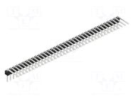 Connector: pin strips; pin header; male; PIN: 36; THT; 3A; 250V; SL 3 FISCHER ELEKTRONIK