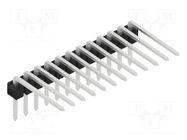 Connector: pin strips; pin header; male; PIN: 12; THT; 3A; 250V; SL 3 FISCHER ELEKTRONIK