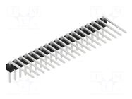 Connector: pin strips; pin header; male; PIN: 19; THT; 3A; 250V; SL 3 FISCHER ELEKTRONIK