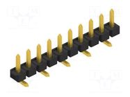 Connector: pin strips; pin header; male; PIN: 10; 3A; 250V; SMT; 1x10 FISCHER ELEKTRONIK