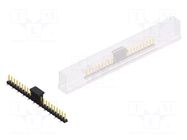 Connector: pin strips; pin header; male; PIN: 22; 3A; 250V; SMT; 1x22 FISCHER ELEKTRONIK