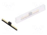 Connector: pin strips; pin header; male; PIN: 23; 3A; 250V; SMT; 1x23 FISCHER ELEKTRONIK
