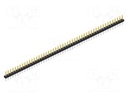 Connector: pin strips; pin header; male; PIN: 50; 3A; 100V; THT; 2mm FISCHER ELEKTRONIK