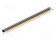Connector: pin strips; pin header; male; PIN: 32; SL 3; 3A; 250V FISCHER ELEKTRONIK
