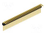 Connector: pin strips; pin header; male; PIN: 31; 1.5A; 125V; THT FISCHER ELEKTRONIK